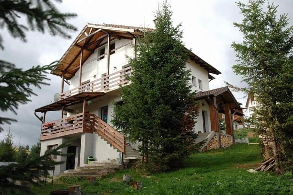 Casa De Vacanta Two Brothers Concept Păltiniş Exterior foto