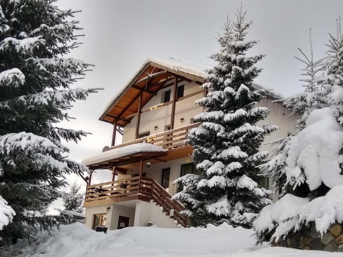 Casa De Vacanta Two Brothers Concept Păltiniş Exterior foto