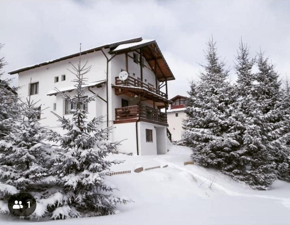Casa De Vacanta Two Brothers Concept Păltiniş Exterior foto