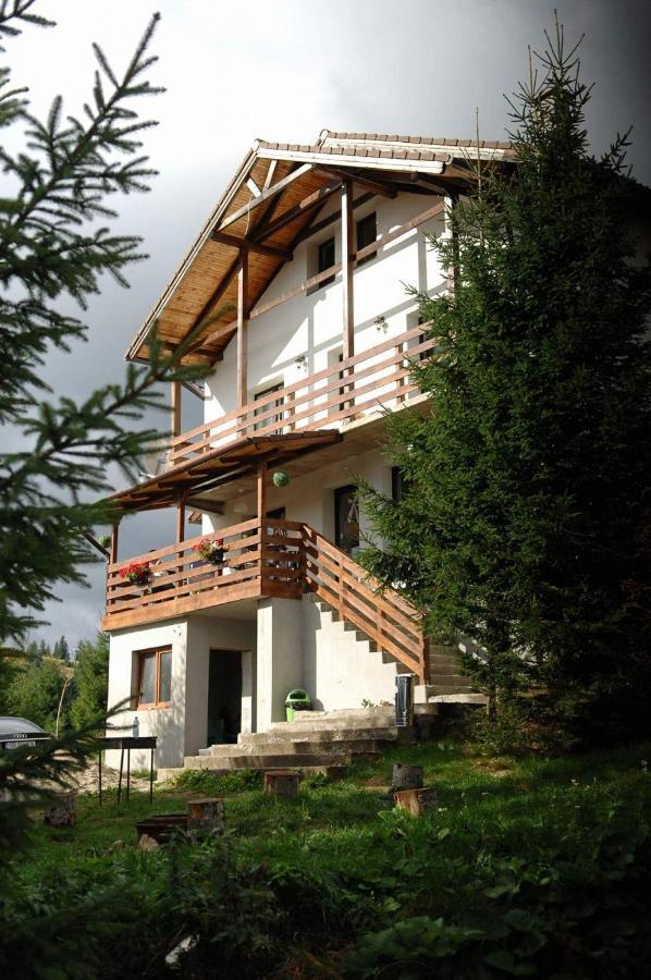 Casa De Vacanta Two Brothers Concept Păltiniş Exterior foto